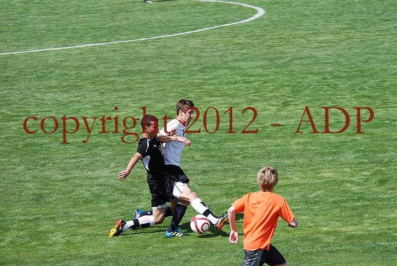 DSC 0801W