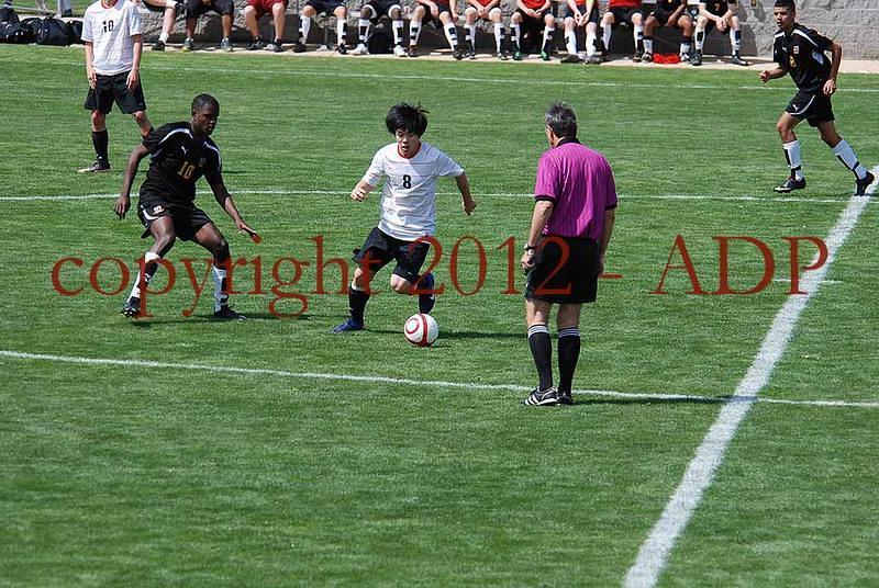 DSC 0804W