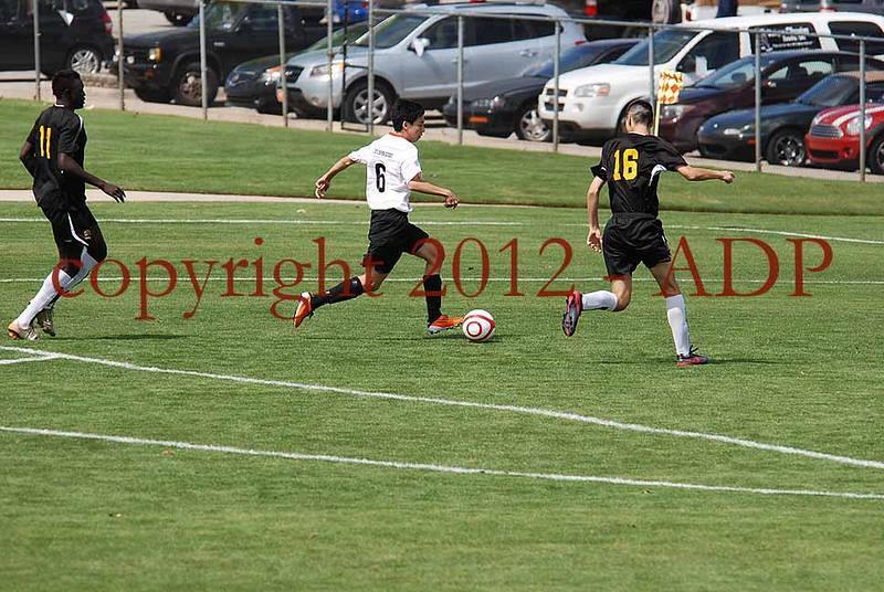 DSC 0831W