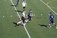 DSC 0131W