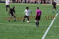 DSC 0804W