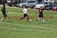 DSC 0831W