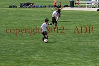 DSC 0920W