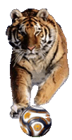 TigernBall